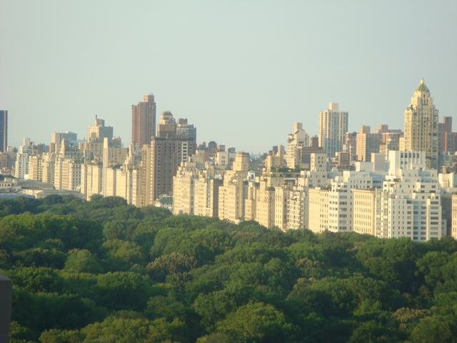 d0100880_950667.jpg