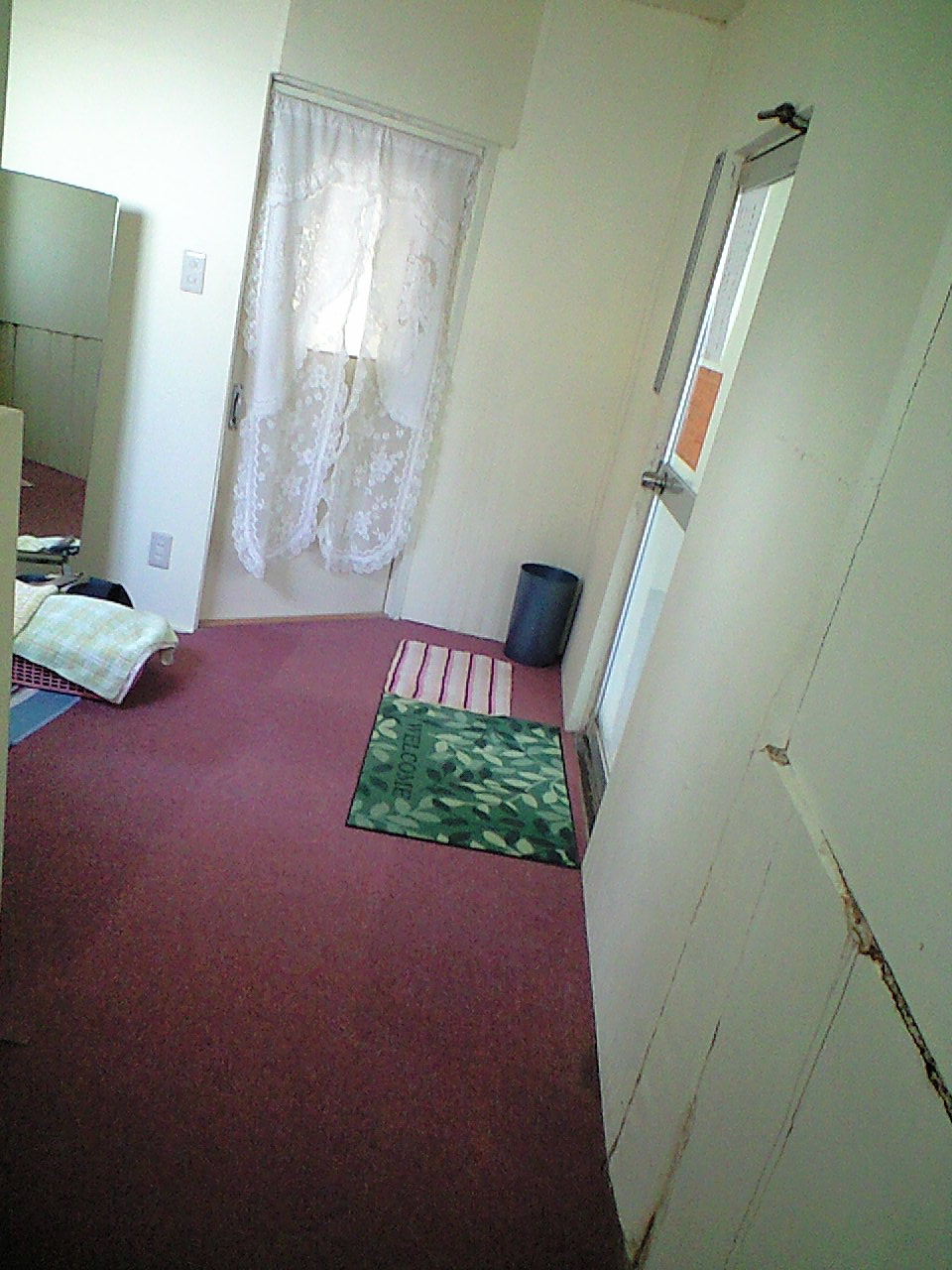 a0067991_752690.jpg