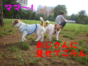 c0188294_1552972.jpg