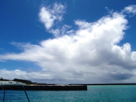 今日の鳩間島　7/9（木）　晴れ時々通り雨_b0165698_22481737.jpg