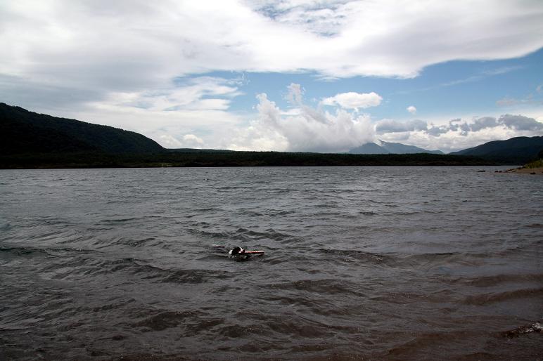 f0034602_2371574.jpg