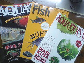 各熱帯魚関連月刊誌、最新号入荷しています！_b0141806_3223758.jpg