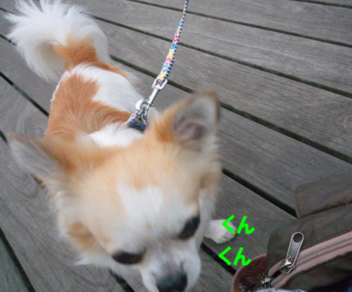 e0131506_0112014.jpg