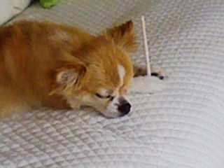 f0198909_20455580.jpg
