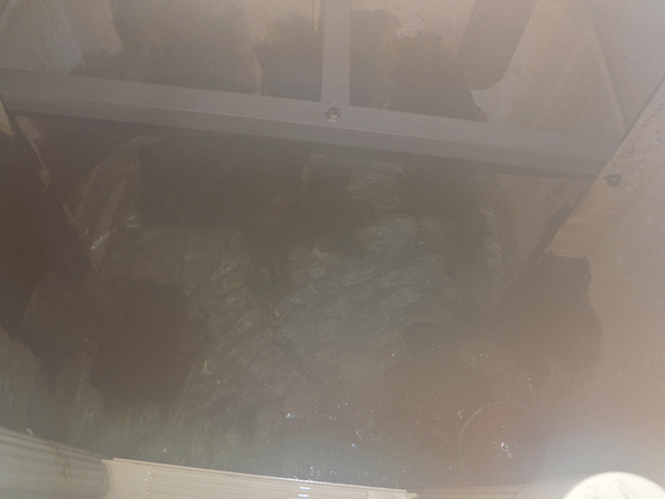 b0159611_2129531.gif