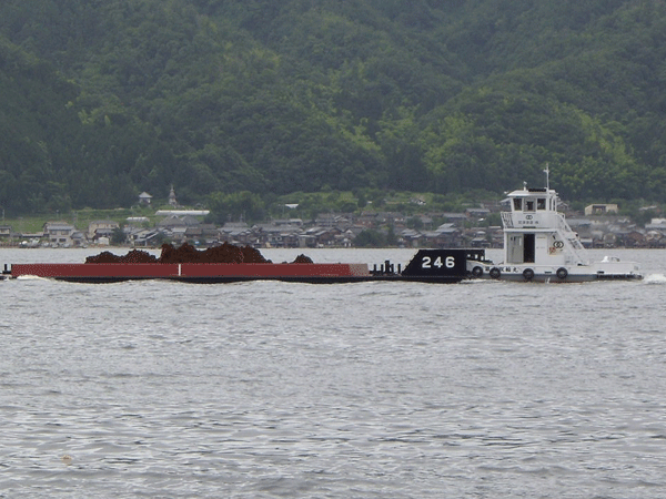 b0159611_21301236.gif