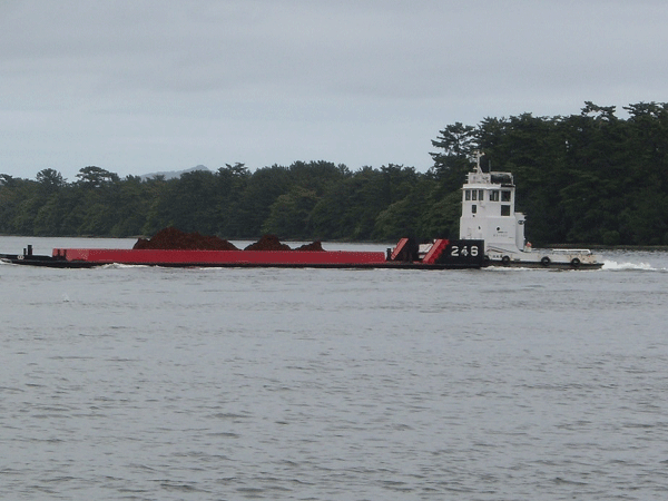 b0159611_21304190.gif