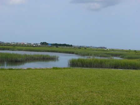 e0049015_835449.jpg