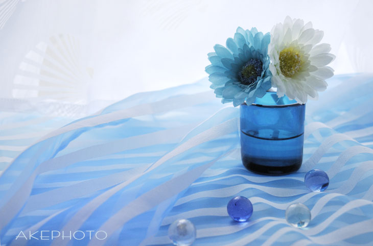 blue ＆ white_e0127416_0243333.jpg