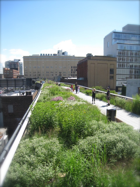 NYの新名所「High Line 」_c0120817_2253121.jpg