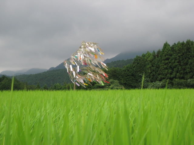 子供たちの願いを乗せて 七夕送り_b0093221_759152.jpg