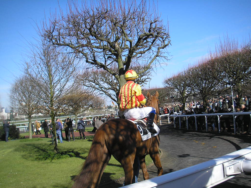 フランス競馬に来る人_b0169024_21144660.jpg