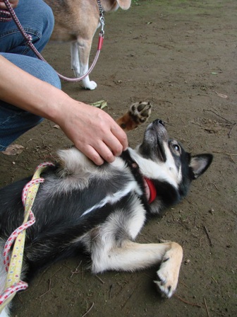 年上のオネーサン　テリーちゃん_c0039924_21502166.jpg