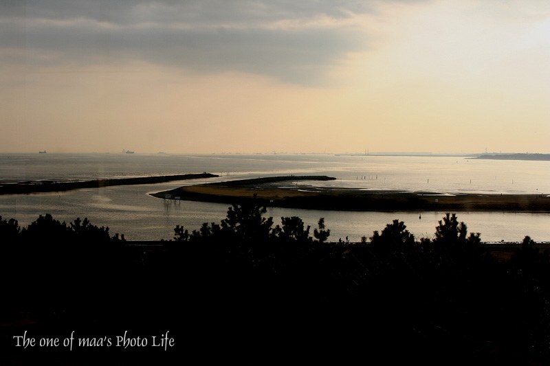 葛西臨海公園の夕焼け_d0040124_17263454.jpg