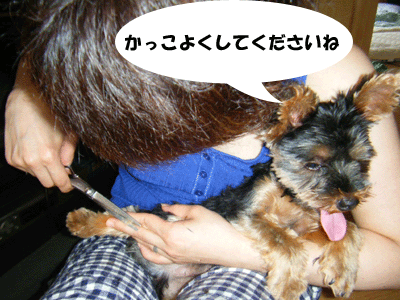 f0008935_15505896.gif
