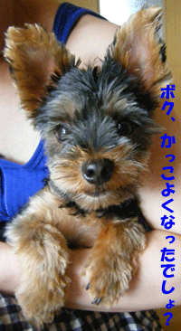 f0008935_1551463.gif