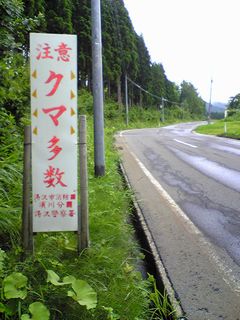 「クマが出た」_f0081443_2251420.jpg