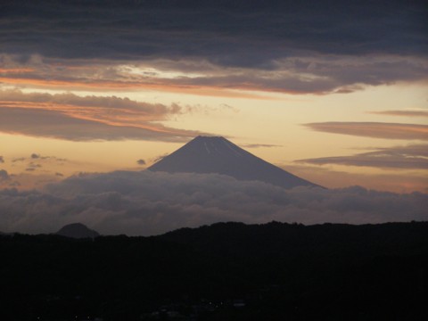 梅雨嵐のあと_f0043750_2041580.jpg