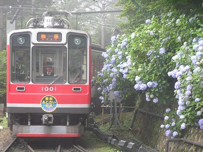 b0145863_14592644.jpg