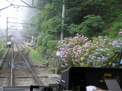 b0145863_152514.jpg