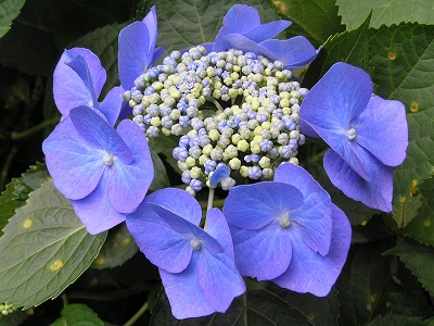 b0145863_2255237.jpg