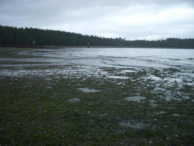 b0183670_64936.jpg