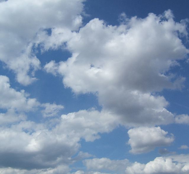 f0119071_04971.jpg
