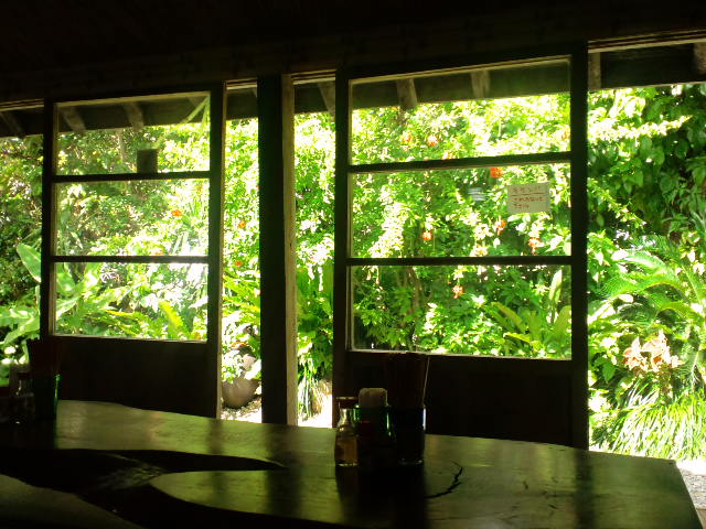 e0173679_20163563.jpg