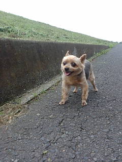 f0004180_22261423.jpg