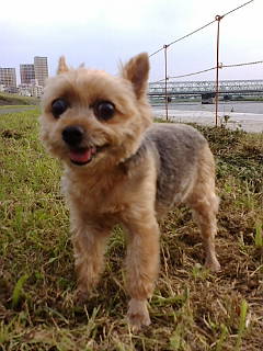 f0004180_22265632.jpg
