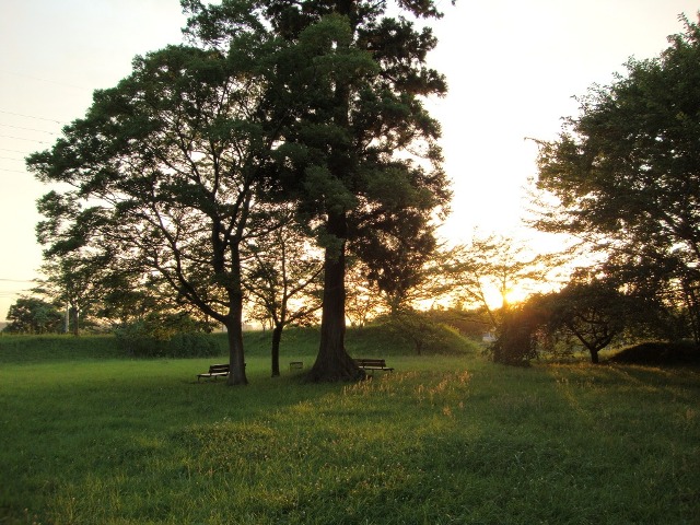 カウントダウン_a0126590_23261193.jpg