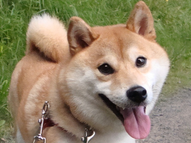 カウントダウン_a0126590_23263761.jpg