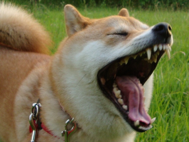 カウントダウン_a0126590_23273128.jpg