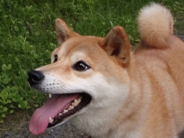 カウントダウン_a0126590_23275878.jpg