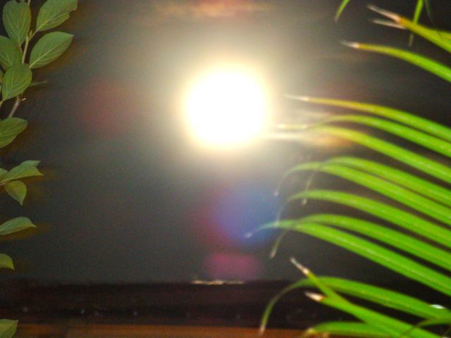 b0121693_1932136.jpg