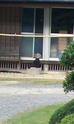 b0029694_05164.jpg