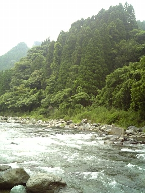 a0135797_18131241.jpg