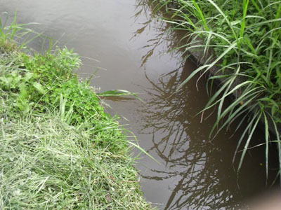 f0082402_22412019.jpg