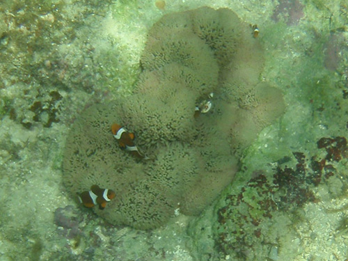 a0024504_23292575.jpg
