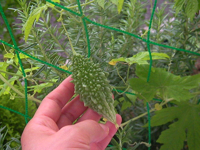 f0038407_23442928.jpg