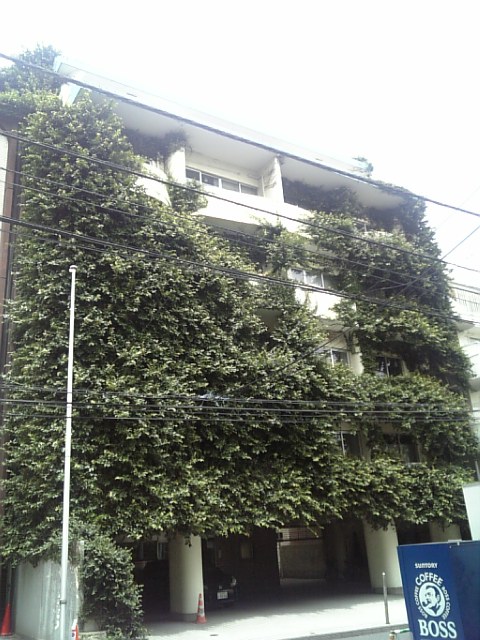 c0099210_1891922.jpg