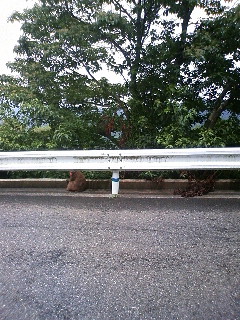 c0123310_23102469.jpg