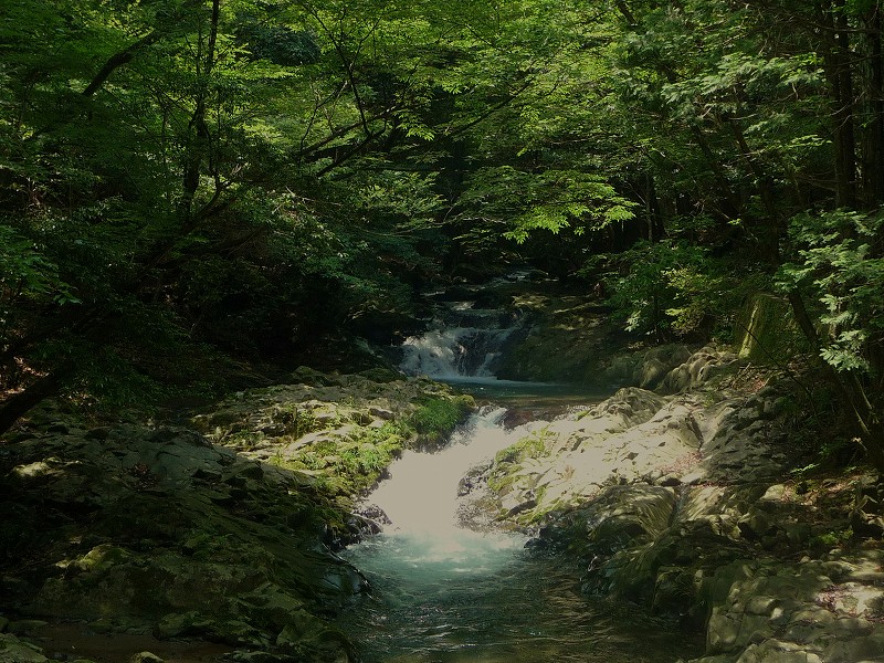 f0182513_116443.jpg