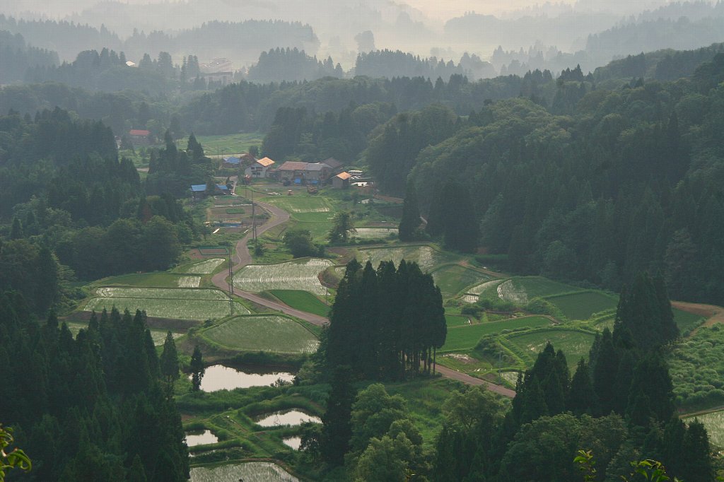 棚田のある風景_a0032015_154263.jpg