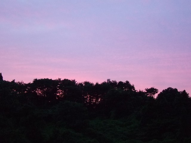 f0143119_2015664.jpg