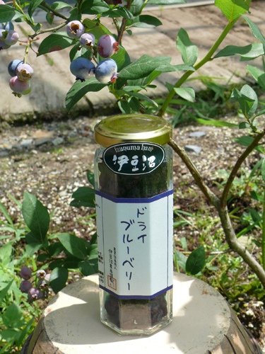 f0052323_1315599.jpg