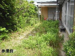 ハイスピードな剪定作業_f0031037_1902845.jpg