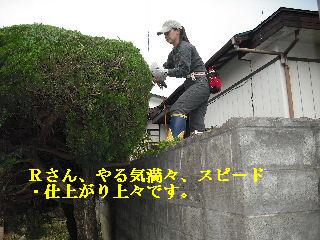 ハイスピードな剪定作業_f0031037_19105062.jpg