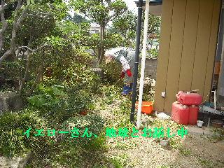 ハイスピードな剪定作業_f0031037_19123133.jpg