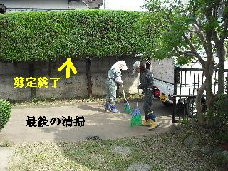 ハイスピードな剪定作業_f0031037_19125383.jpg